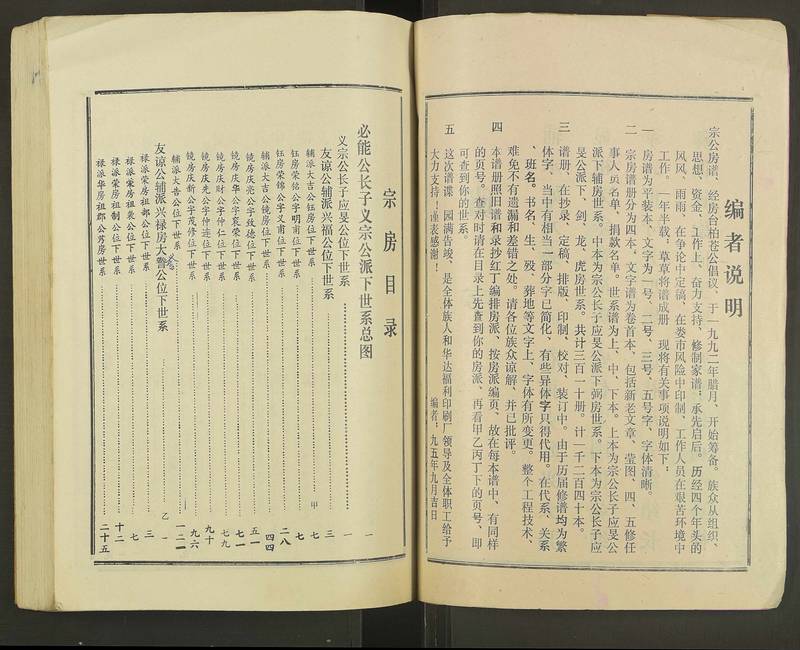 族谱预览