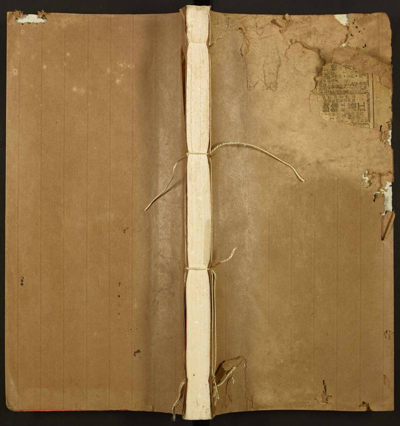 族谱预览
