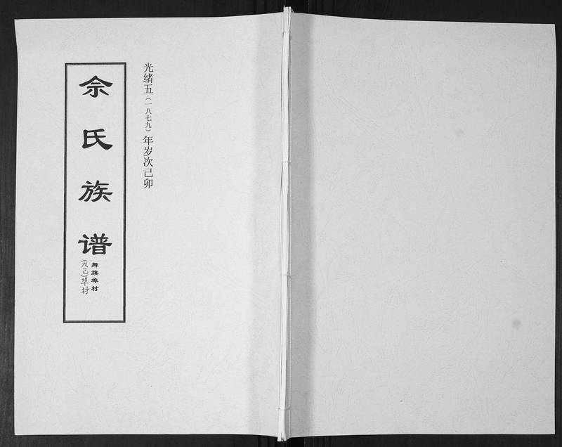 族谱预览