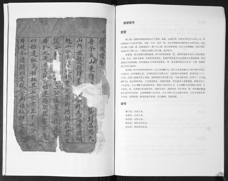 族谱预览