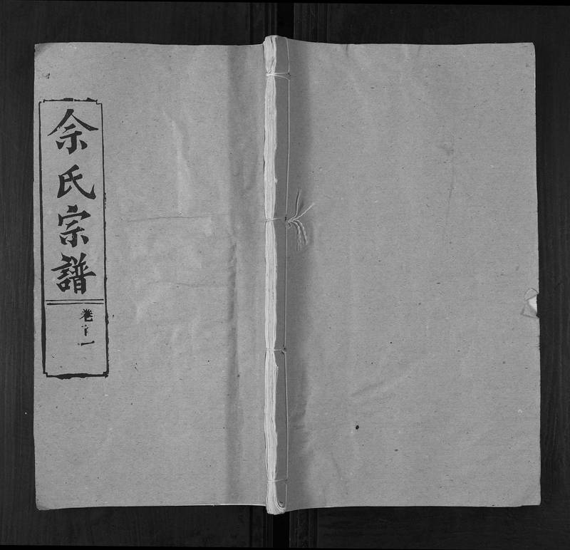 族谱预览
