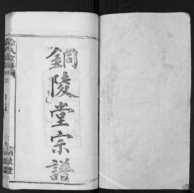 族谱预览