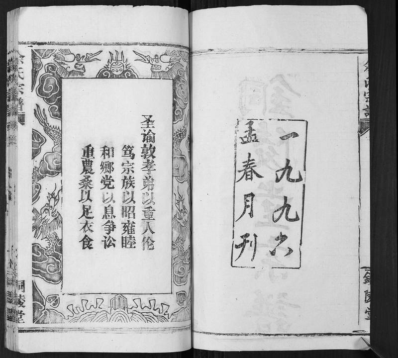 族谱预览
