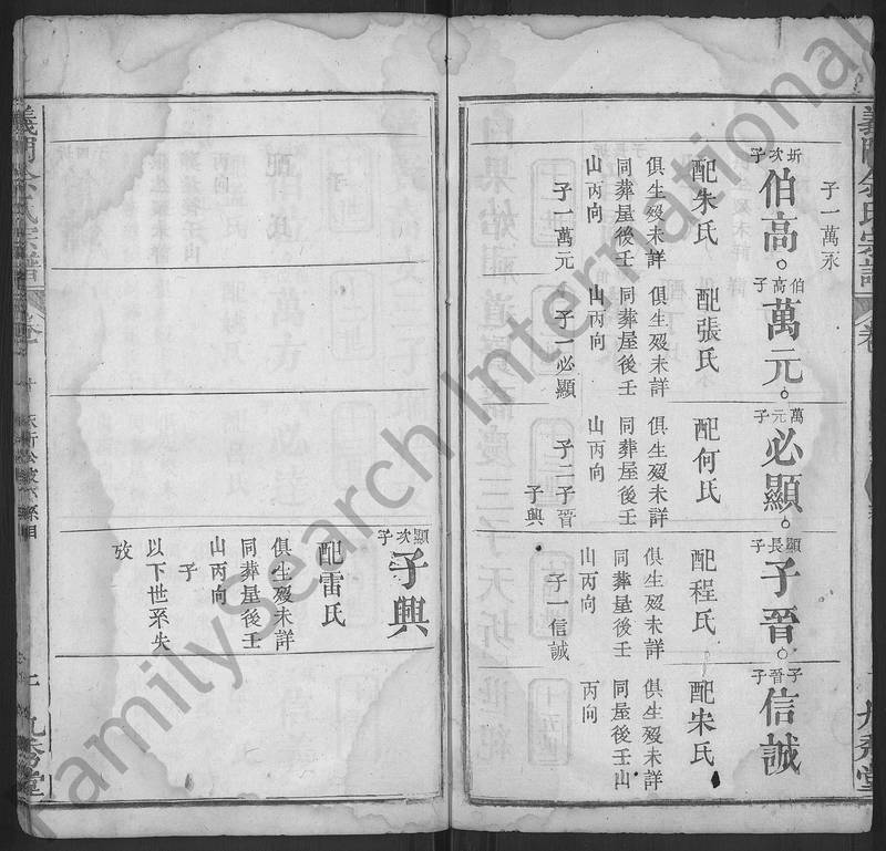 族谱预览