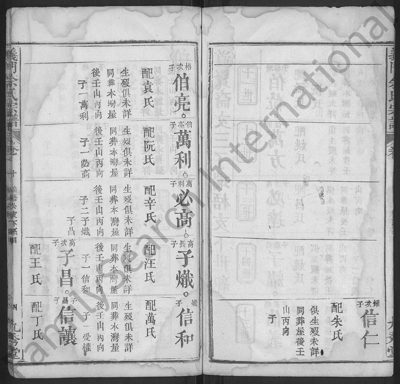族谱预览