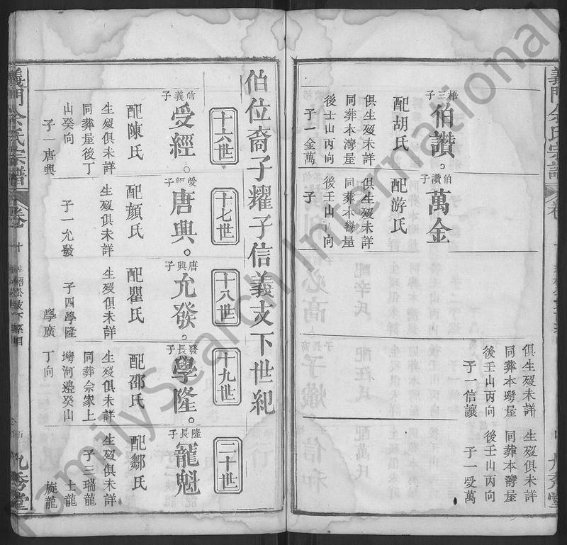 族谱预览