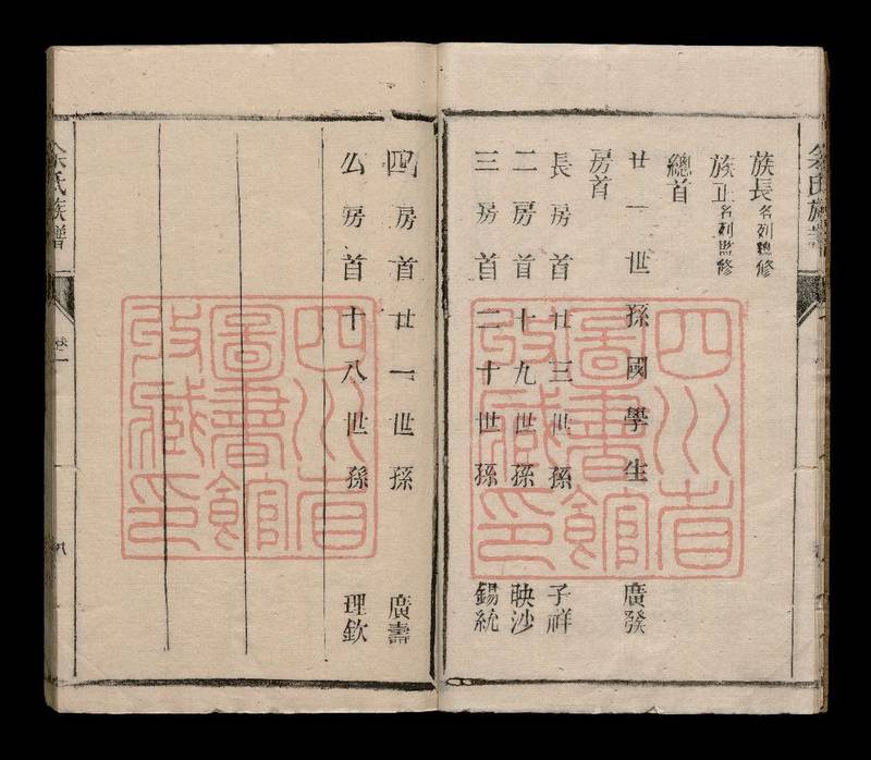族谱预览