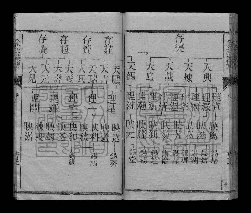 族谱预览