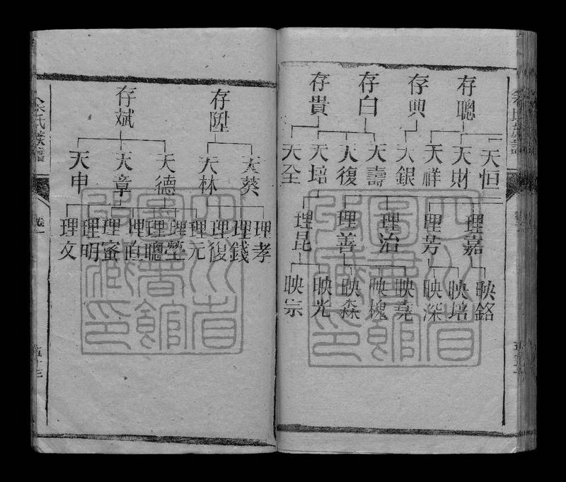 族谱预览