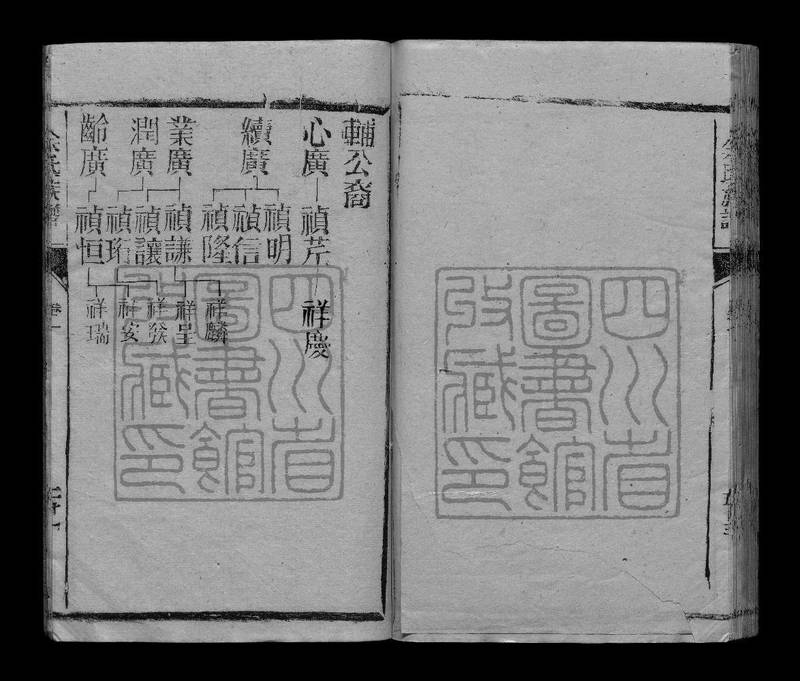 族谱预览