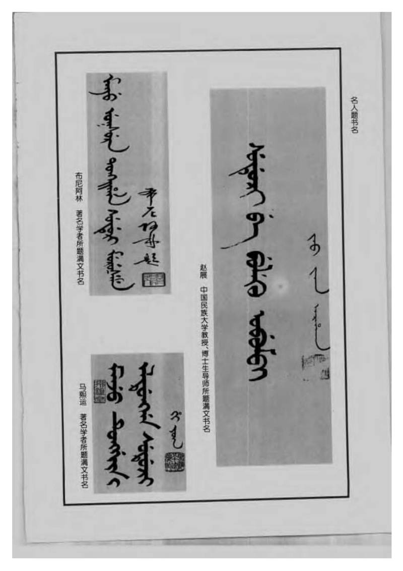 族谱预览