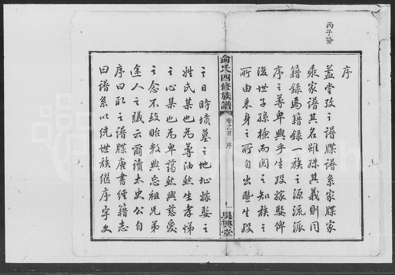 族谱预览