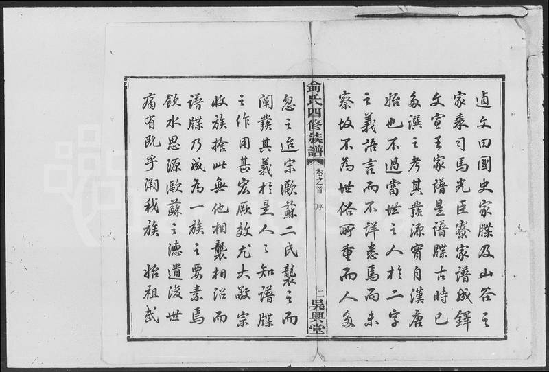 族谱预览