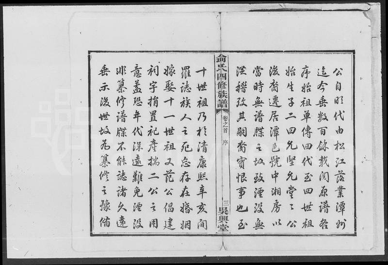 族谱预览