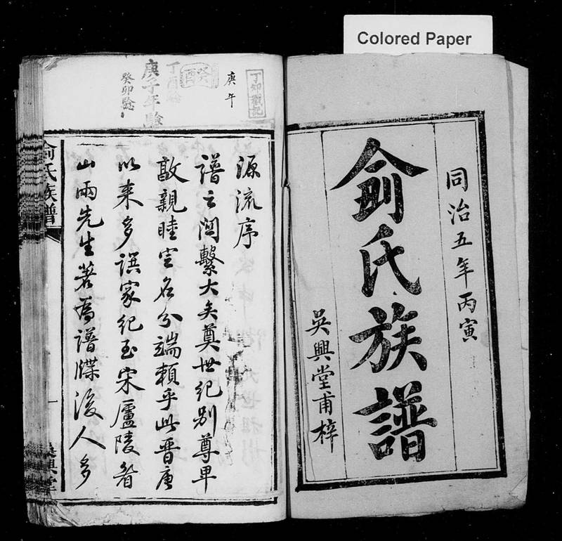 族谱预览