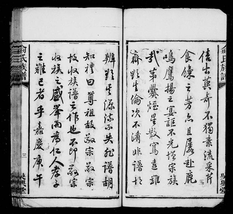 族谱预览