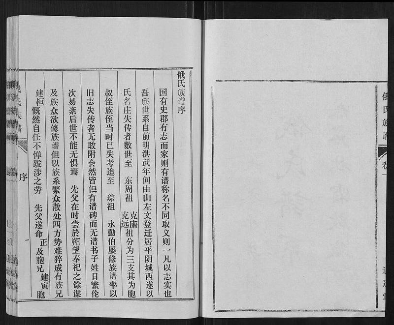 族谱预览