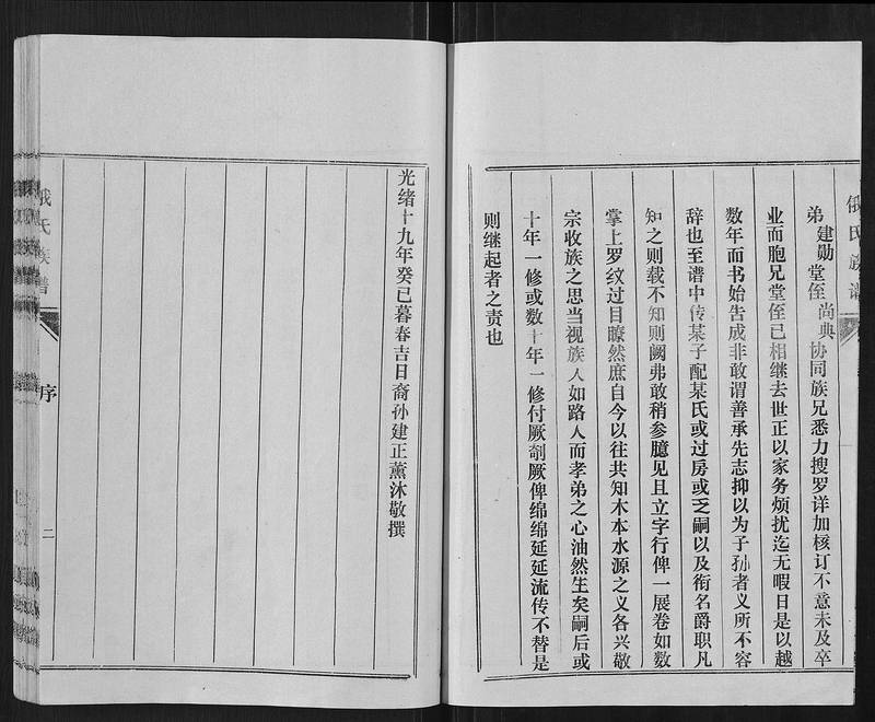 族谱预览