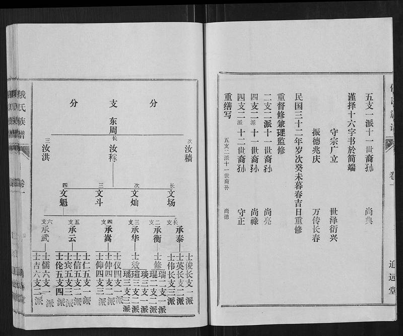 族谱预览