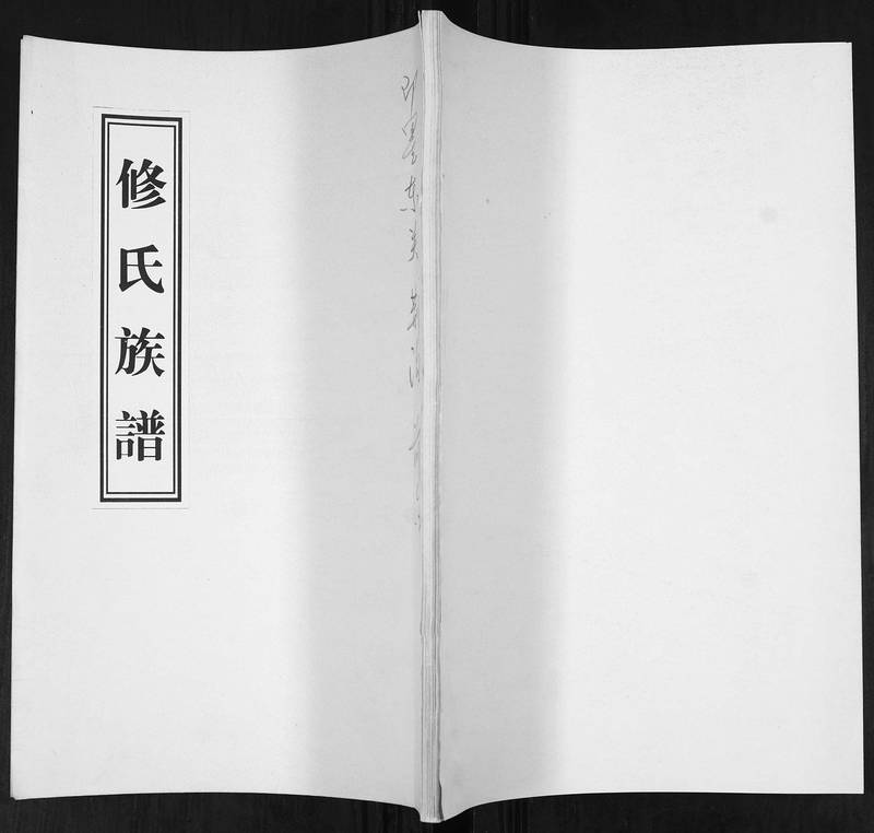族谱预览