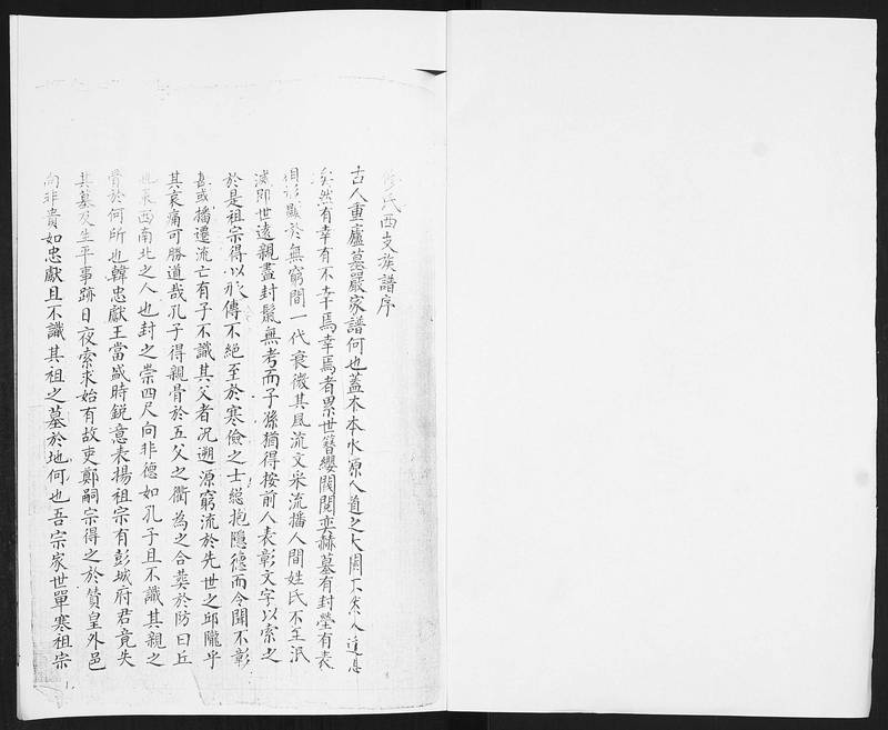 族谱预览
