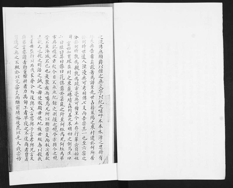 族谱预览