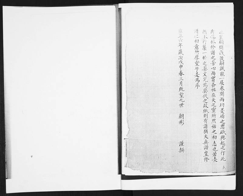 族谱预览