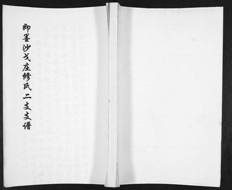 族谱预览