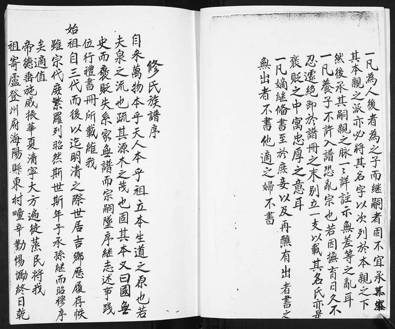 族谱预览
