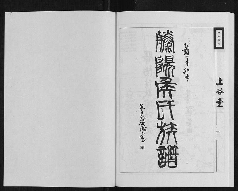 族谱预览