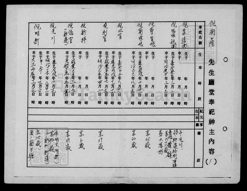 族谱预览