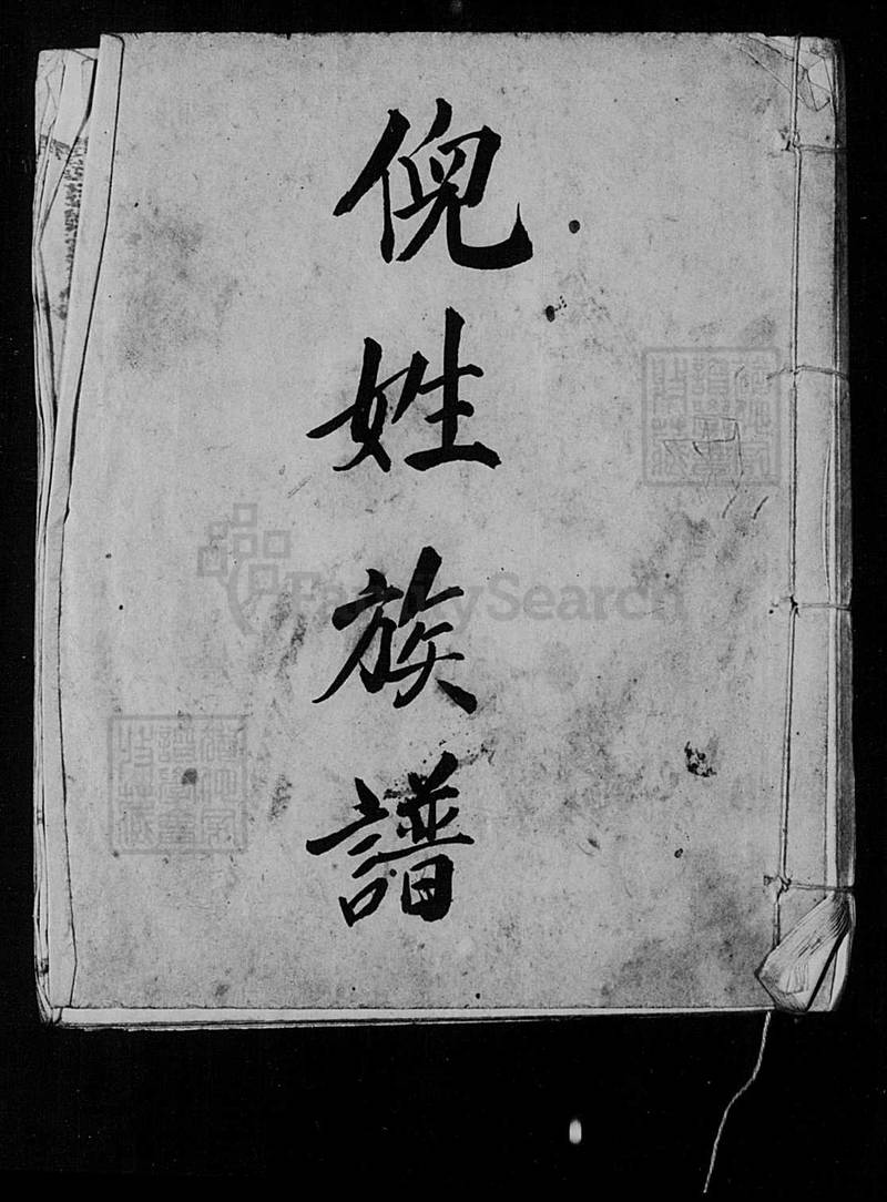 族谱预览