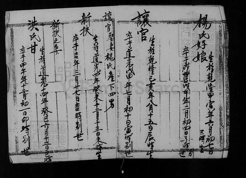族谱预览