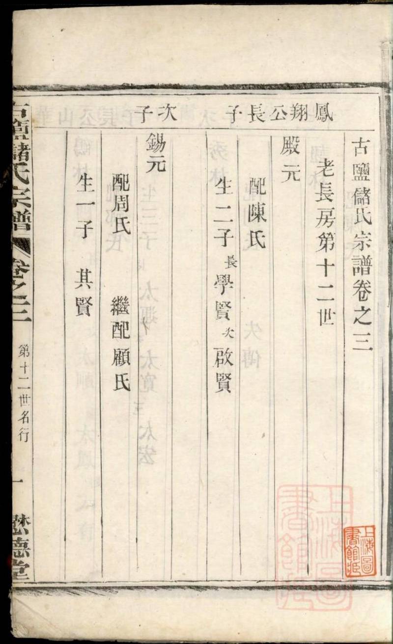 族谱预览