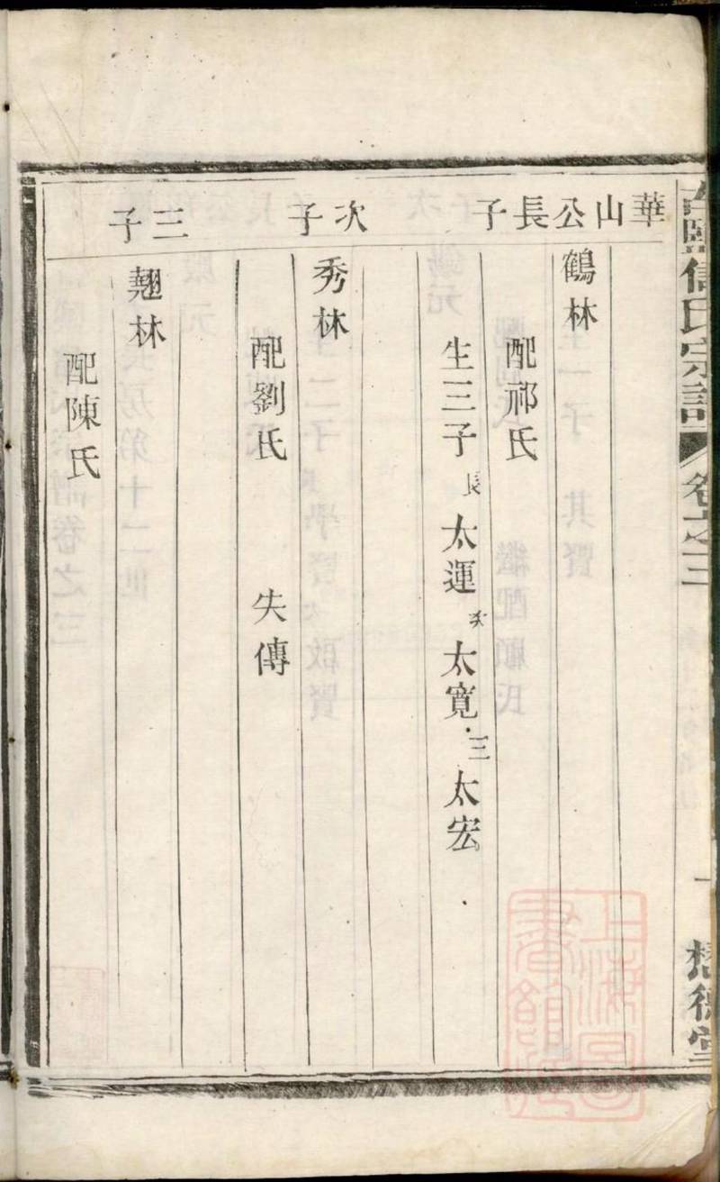 族谱预览