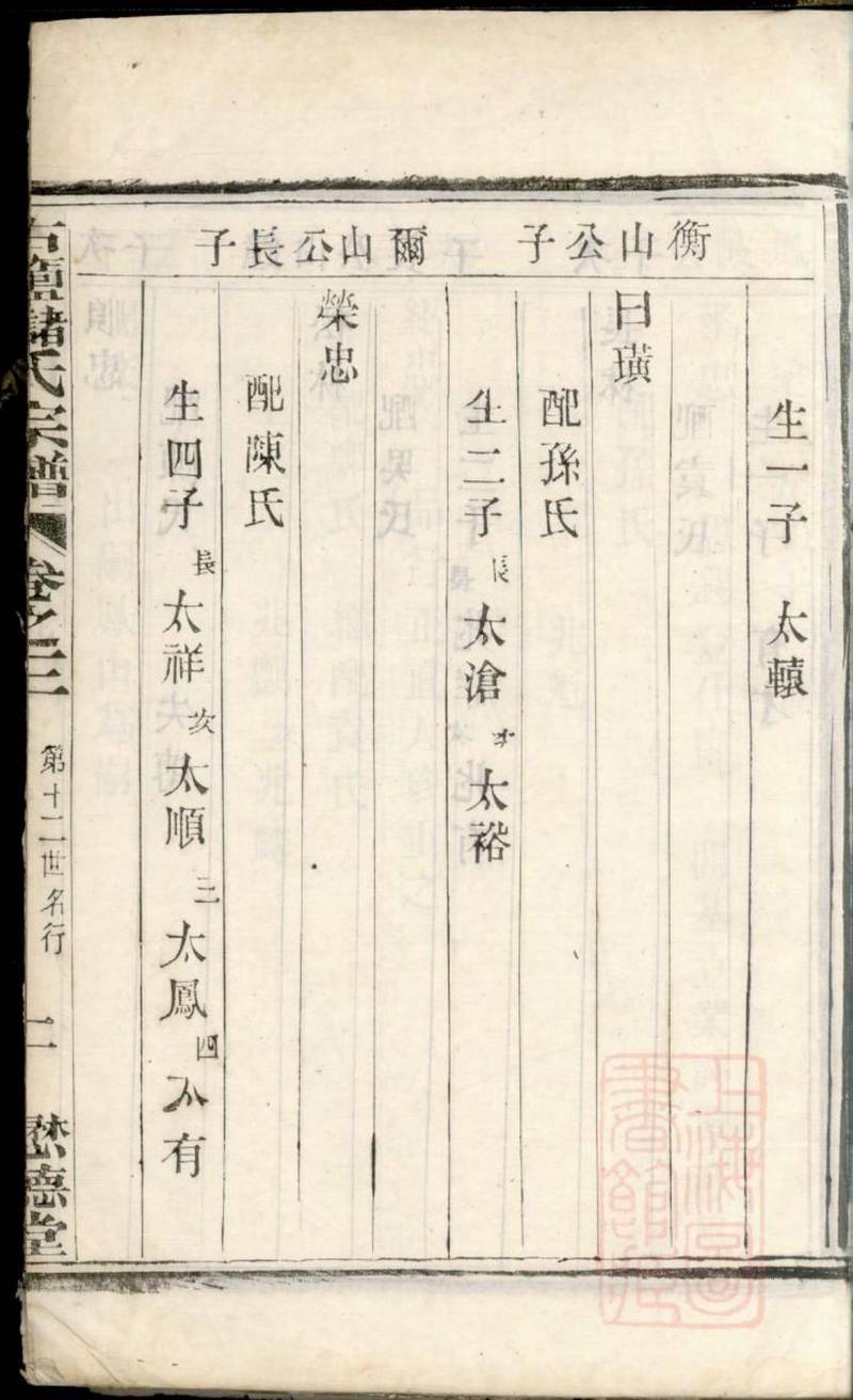 族谱预览