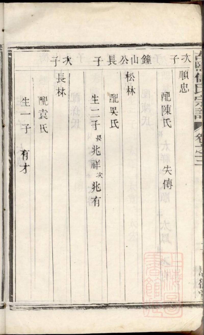 族谱预览