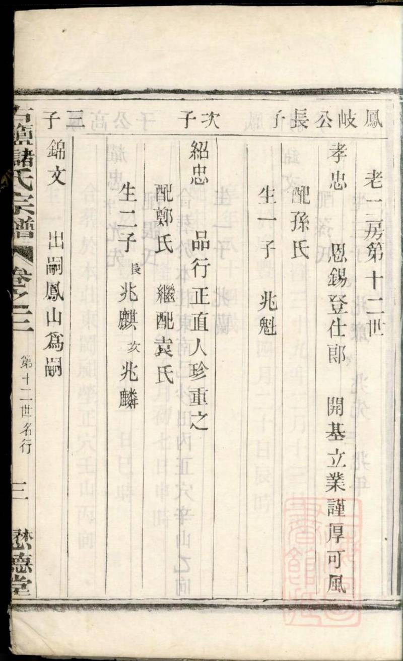 族谱预览