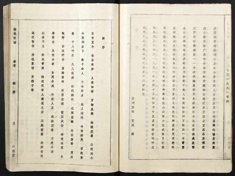 族谱预览