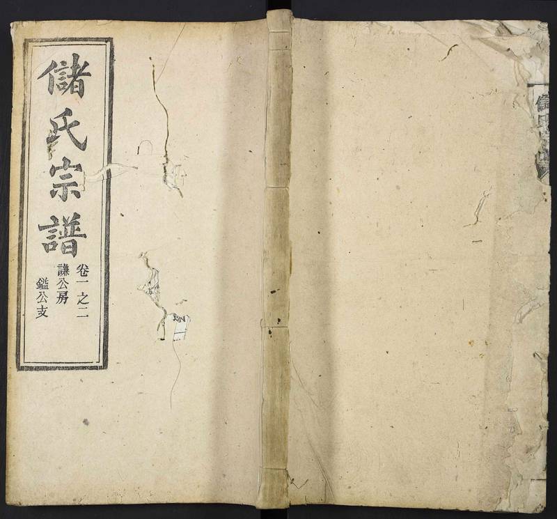 族谱预览