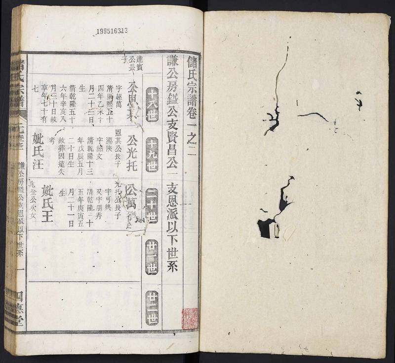 族谱预览