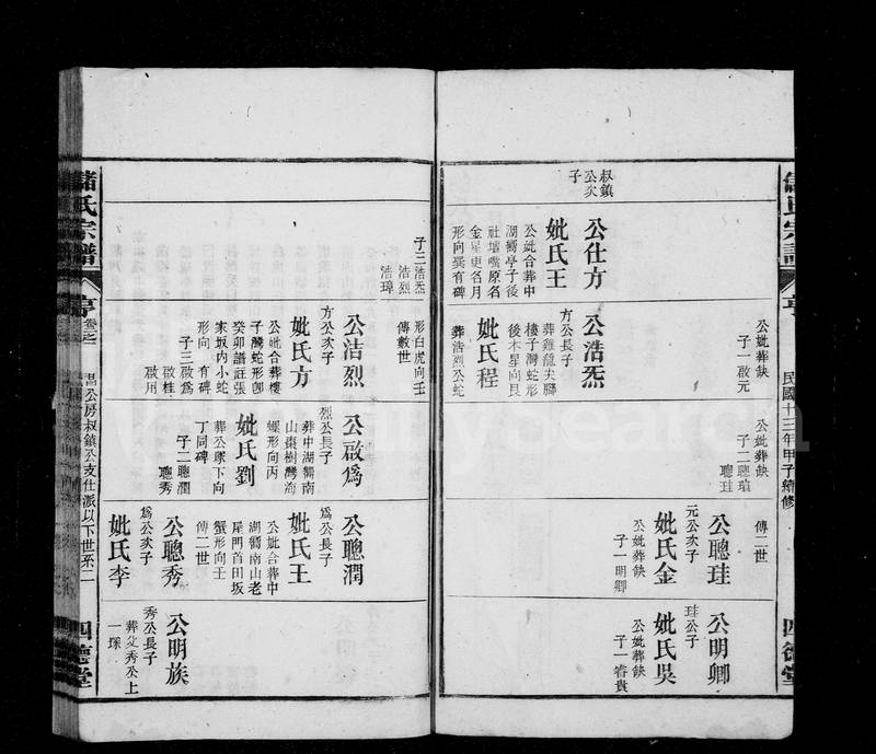 族谱预览