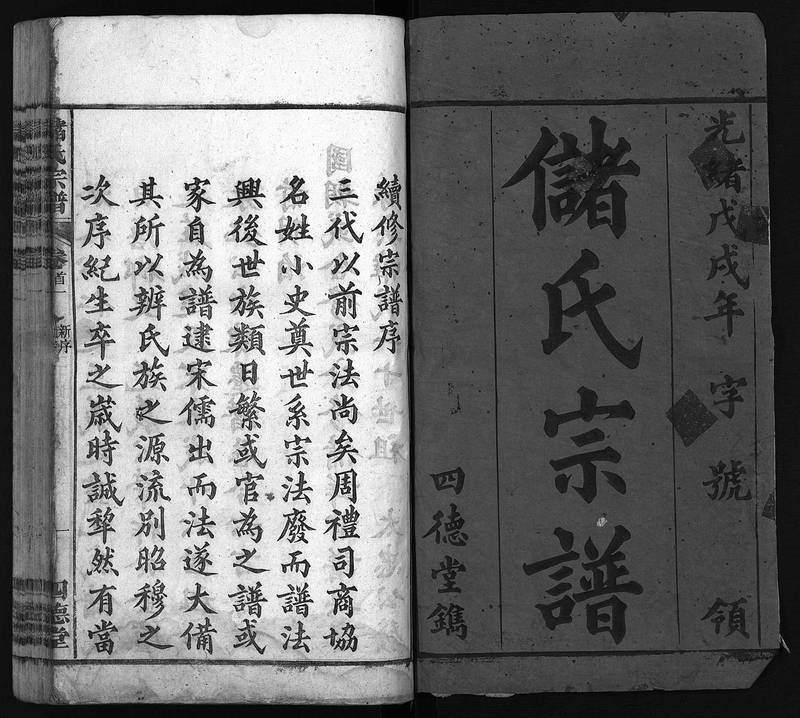 族谱预览