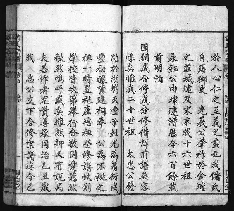 族谱预览