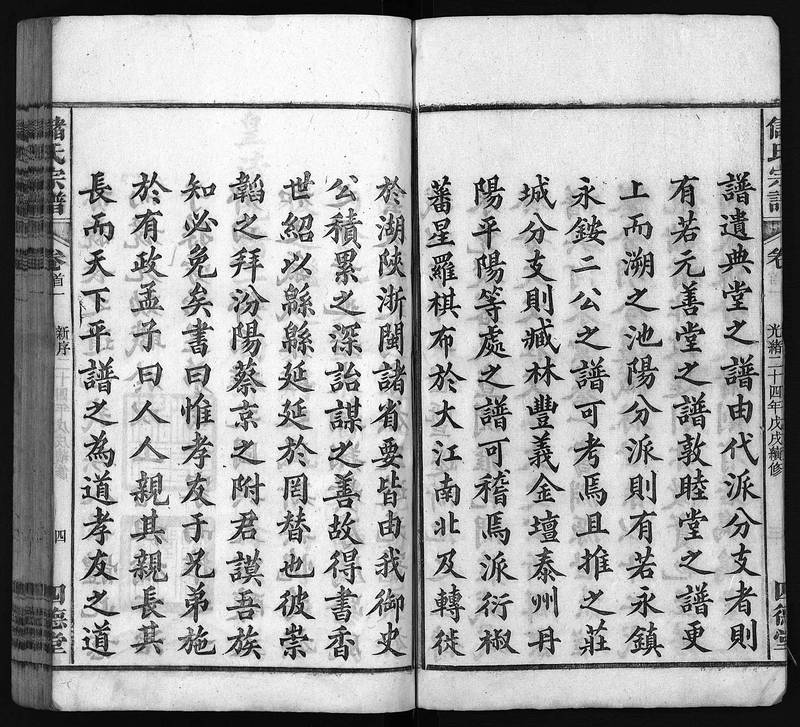 族谱预览