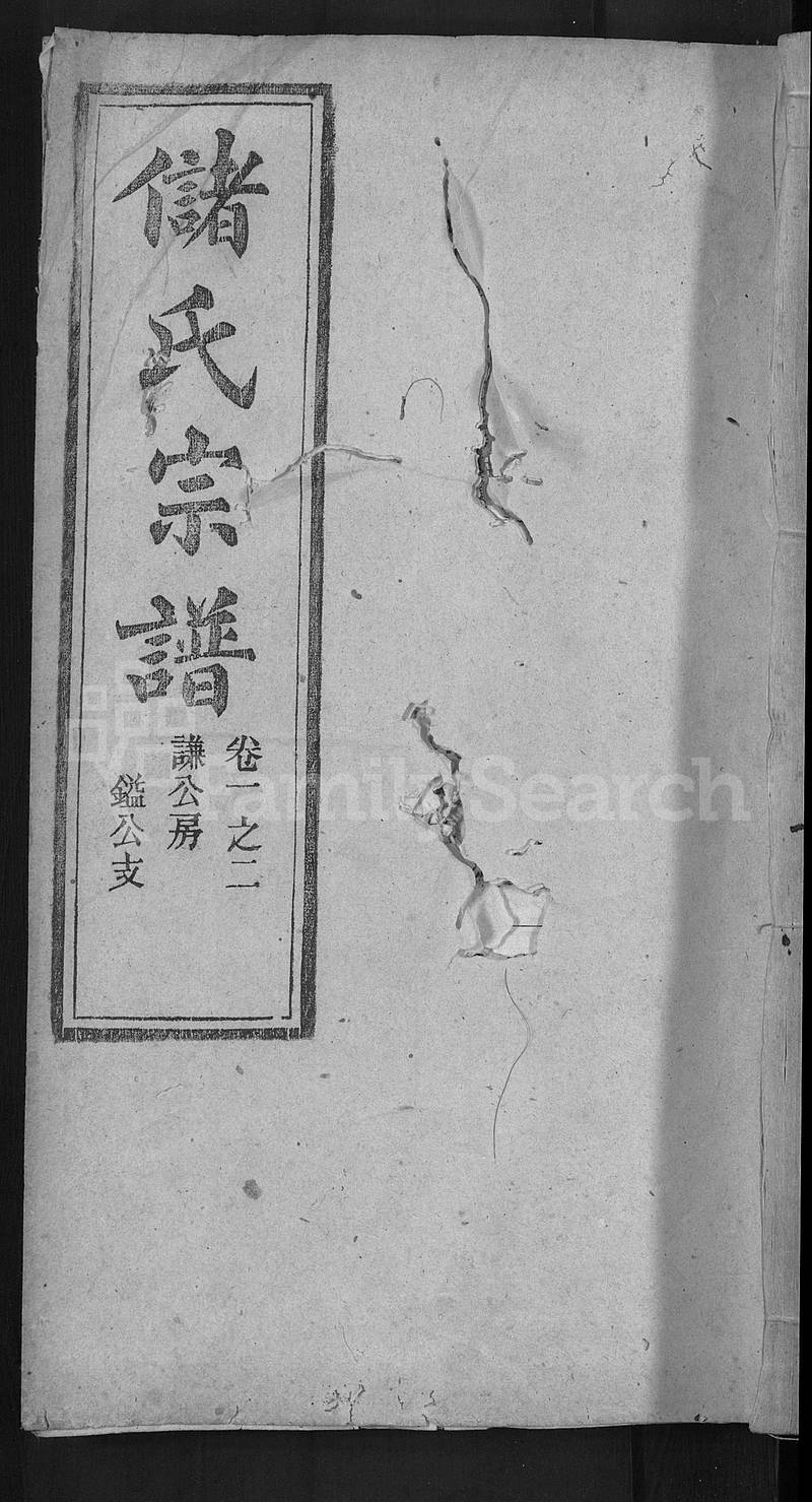 族谱预览