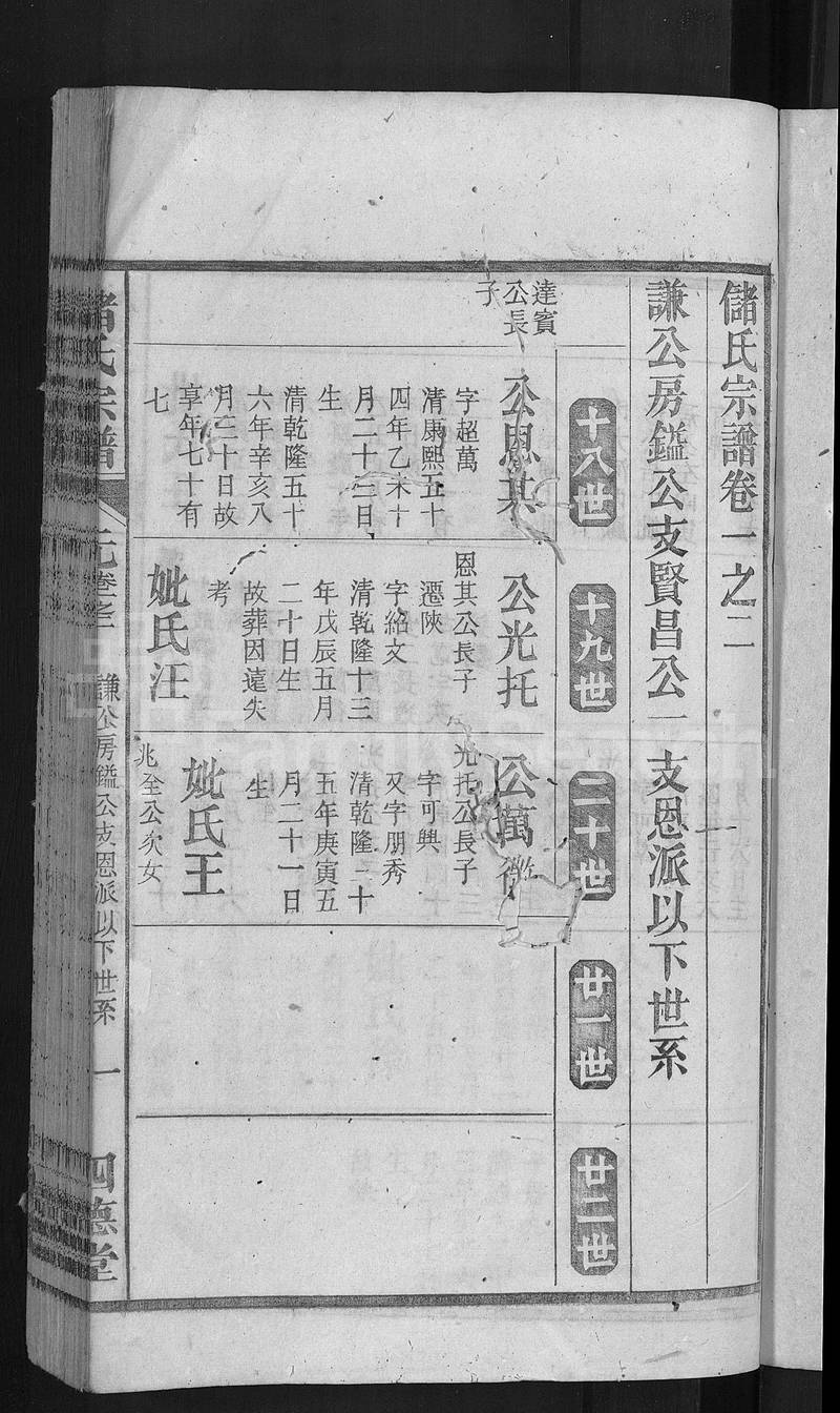 族谱预览