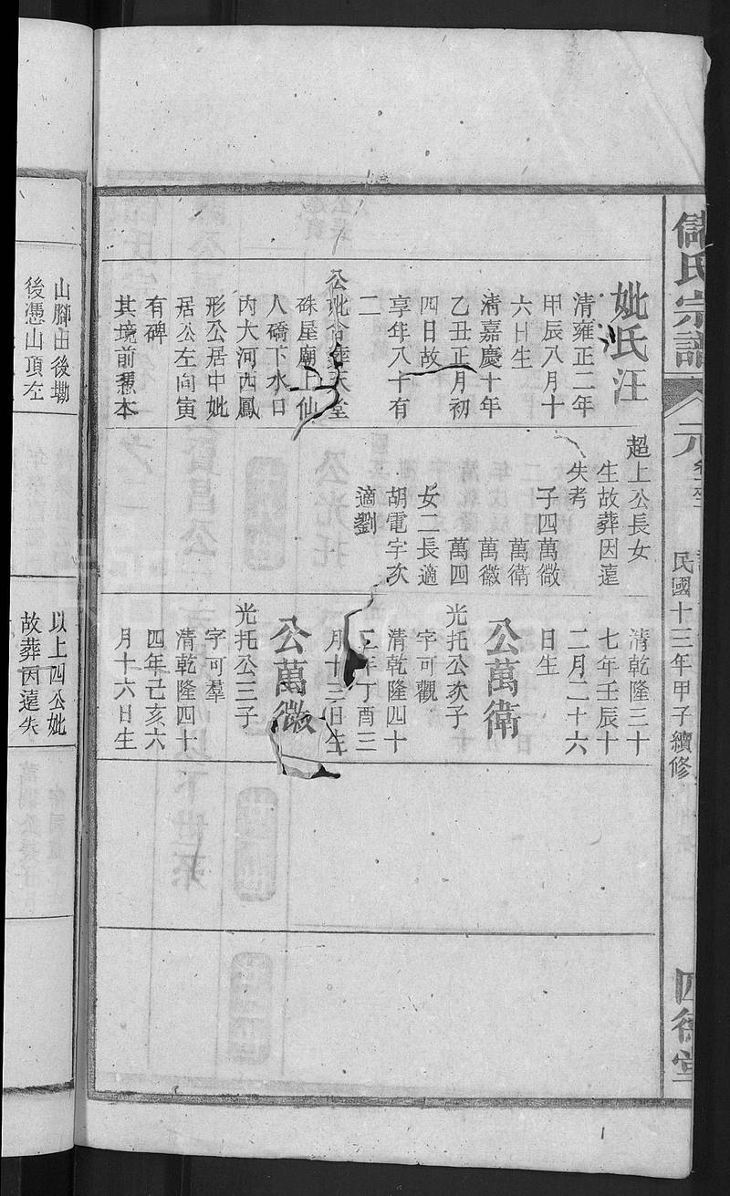 族谱预览