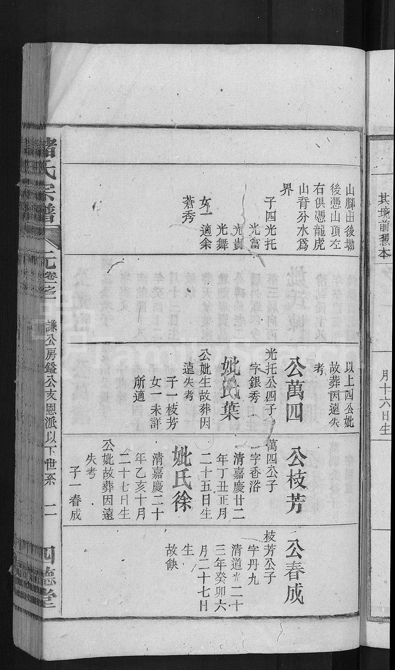 族谱预览