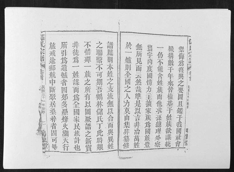 族谱预览